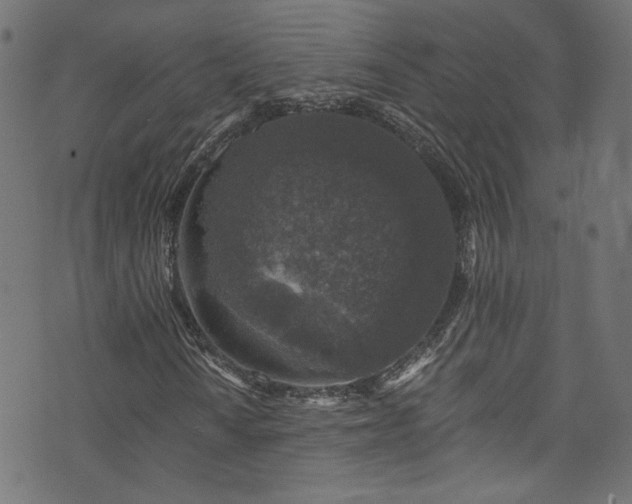 X0000074041010200608281439