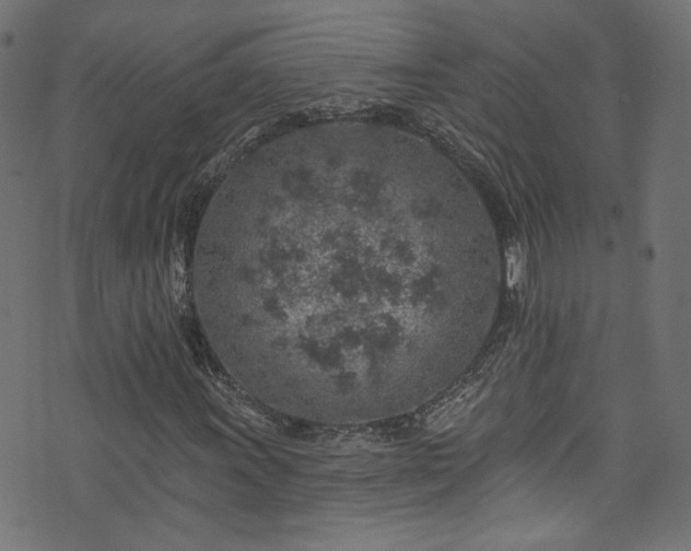 X0000074041011200608281439