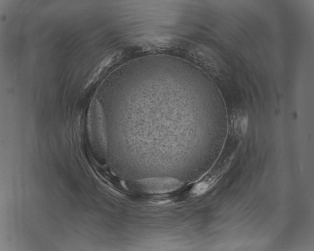 X0000074041012200608281439