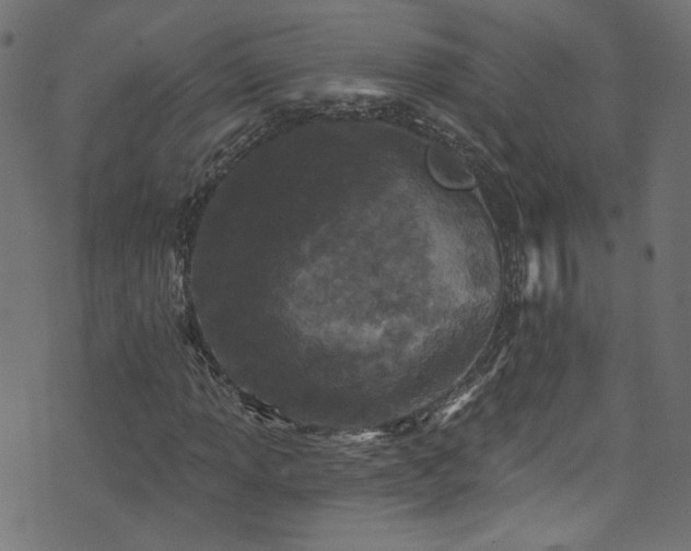 X0000074041013200608281439