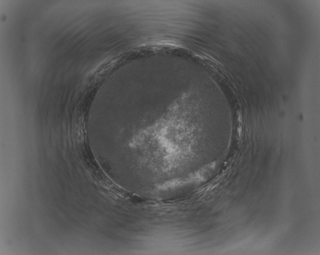 X0000074041014200608281439