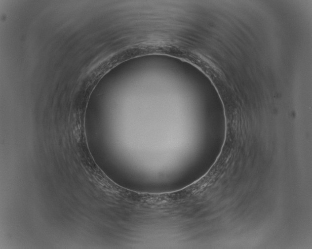 X0000074041015200608281439