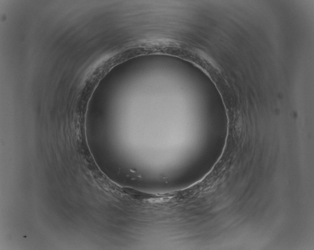 X0000074041016200608281439