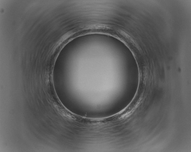 X0000074041017200608281439