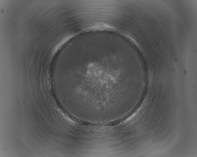 X0000074041018200608281439