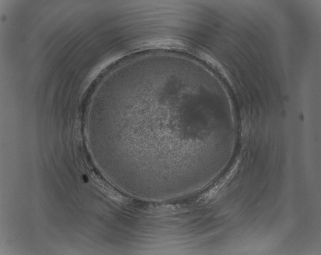 X0000074041019200608281439