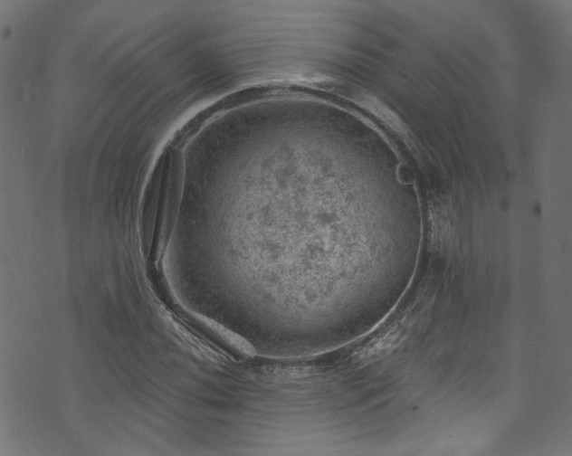 X0000074041020200608281439