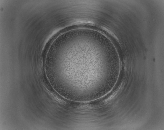 X0000074041021200608281439