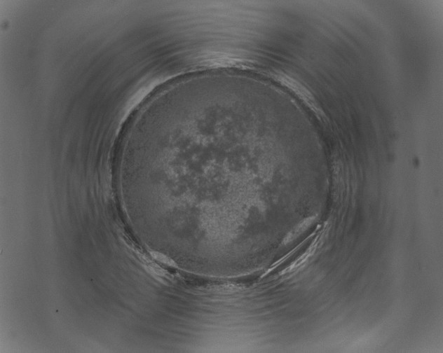 X0000074041023200608281439