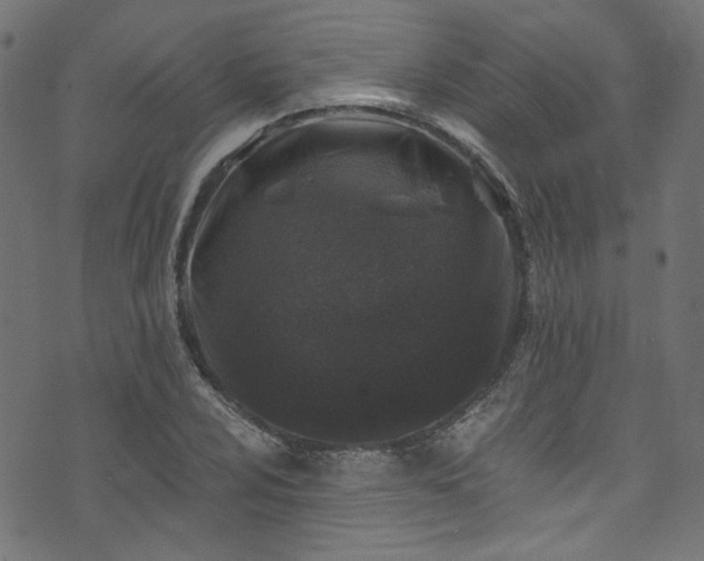 X0000074041024200608281439