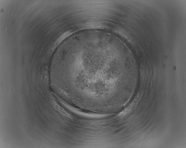 X0000074041025200608281439