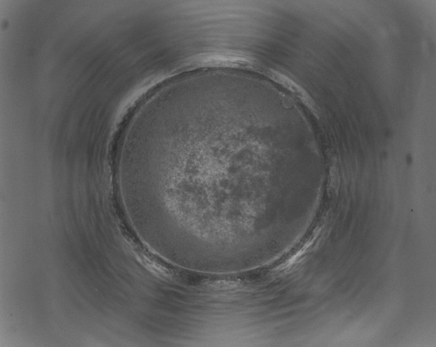 X0000074041027200608281439