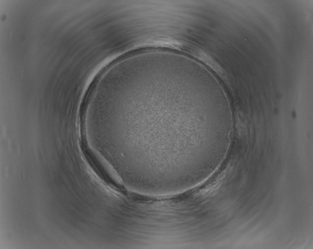 X0000074041028200608281439