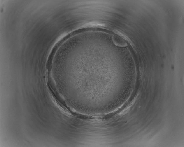 X0000074041029200608281439