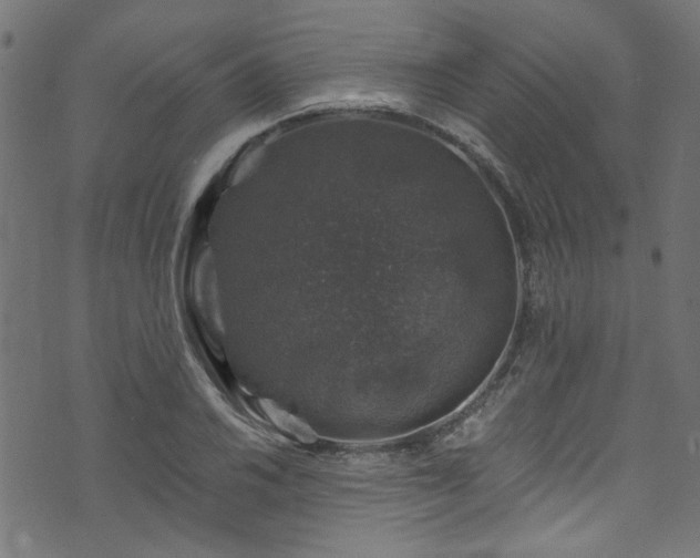 X0000074041030200608281439