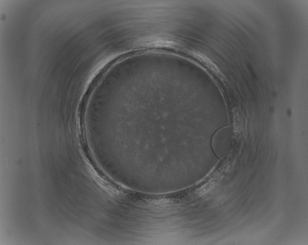 X0000074041031200608281439