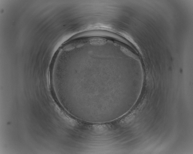 X0000074041032200608281439