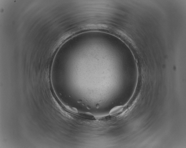 X0000074041033200608281439