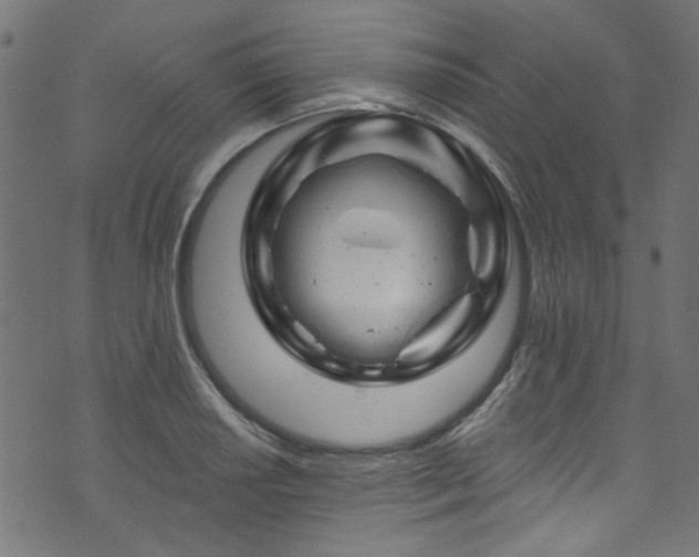 X0000074041034200608281439