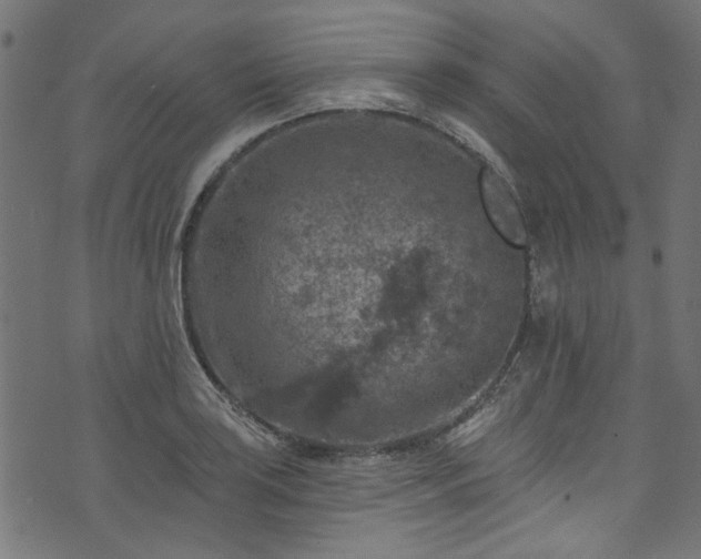 X0000074041035200608281439