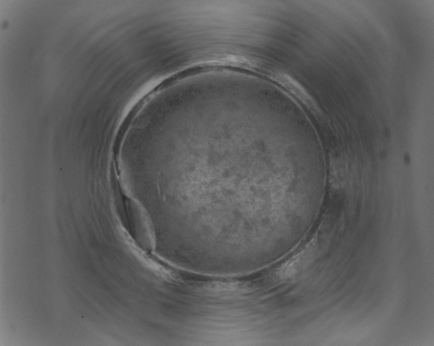 X0000074041036200608281439