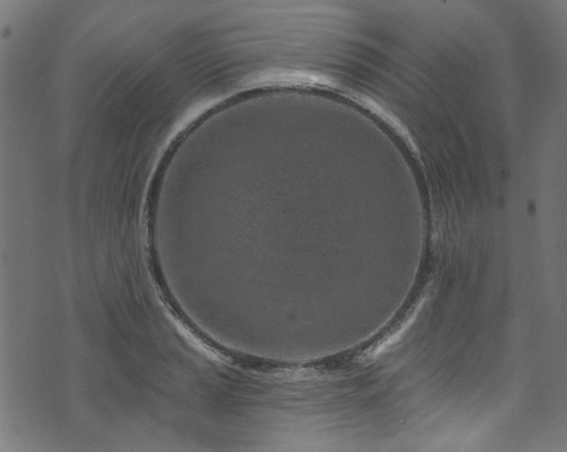 X0000074041037200608281439