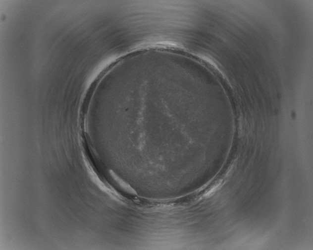 X0000074041038200608281439