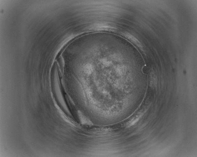 X0000074041039200608281440