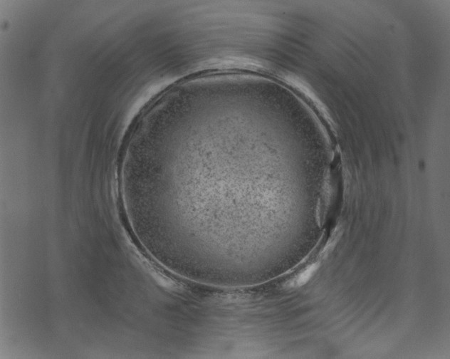 X0000074041040200608281440