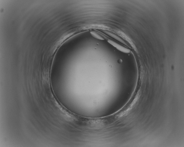 X0000074041041200608281440