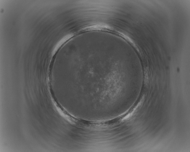 X0000074041042200608281440