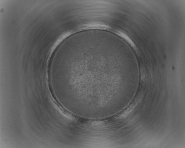 X0000074041043200608281440