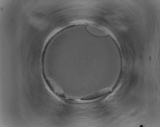 X0000074041045200608281440