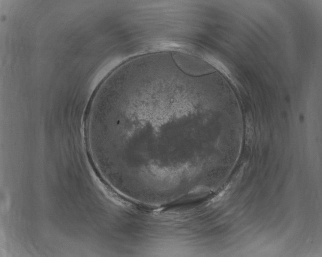 X0000074041047200608281440