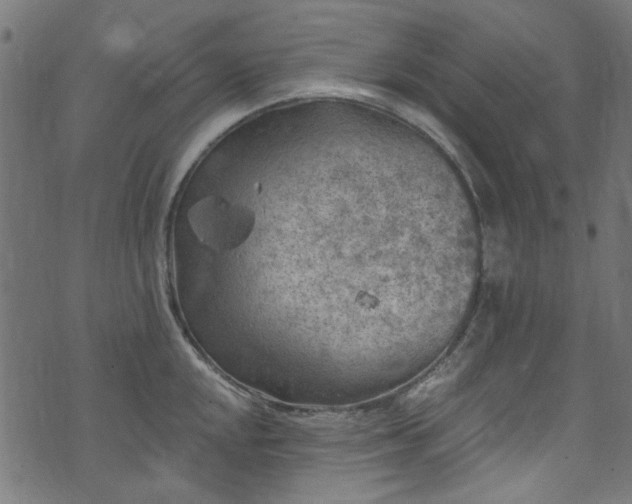 X0000074041048200608281440