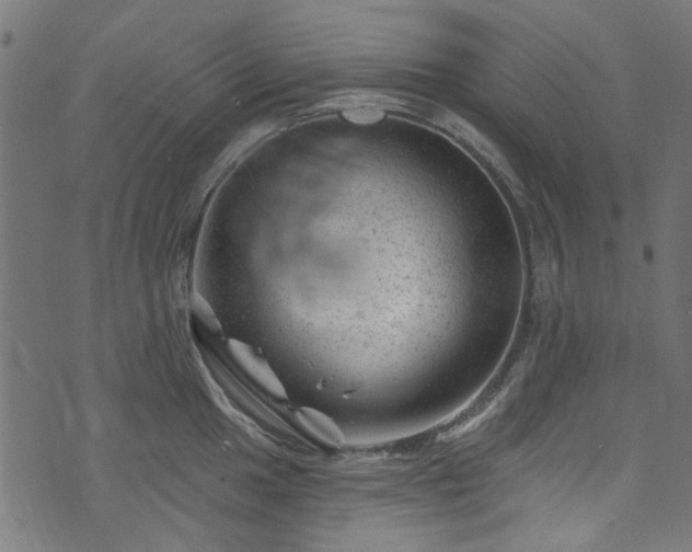 X0000074041049200608281440