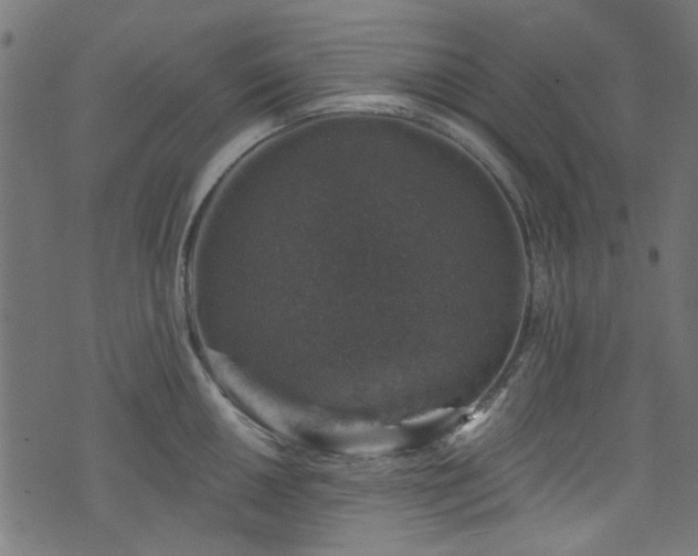 X0000074041050200608281440