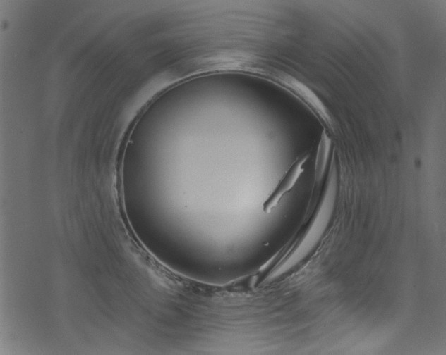 X0000074041051200608281440