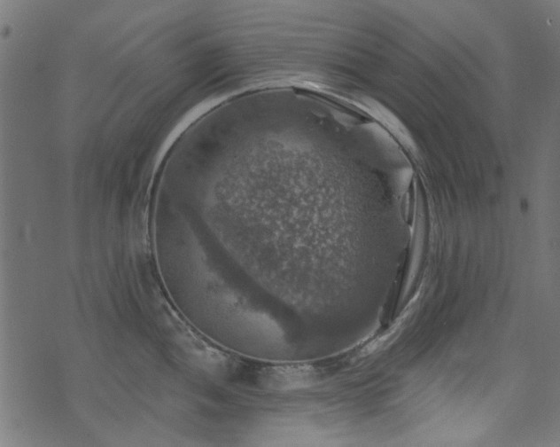 X0000074041052200608281440