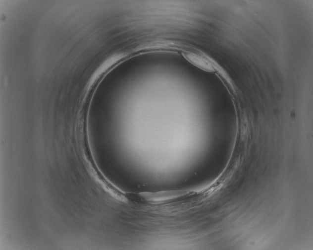 X0000074041053200608281440