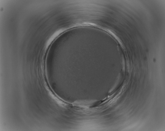 X0000074041054200608281440