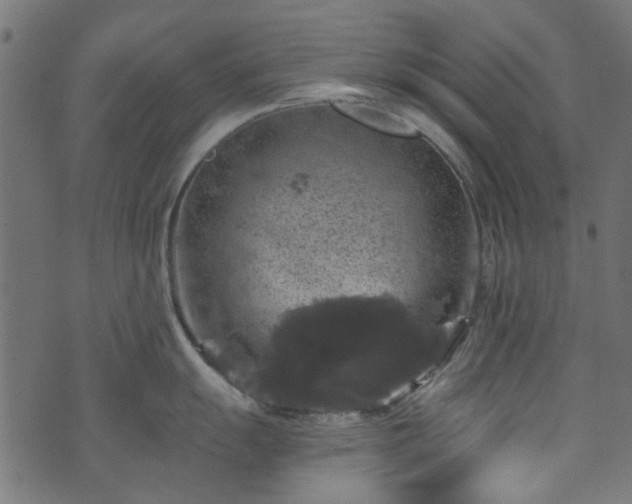 X0000074041055200608281440