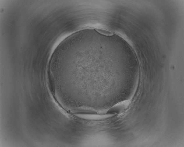 X0000074041056200608281440