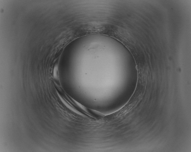 X0000074041058200608281439