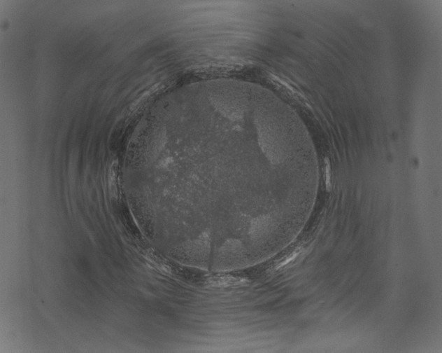 X0000074041059200608281439