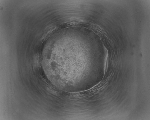 X0000074041060200608281439