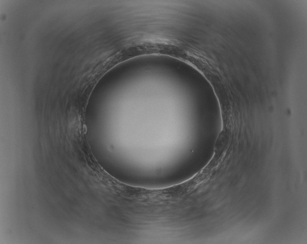 X0000074041061200608281439