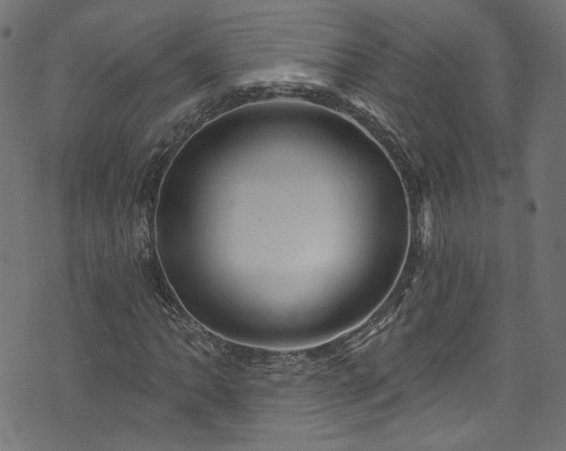 X0000074041062200608281439