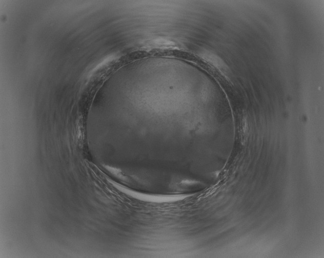 X0000074041063200608281439