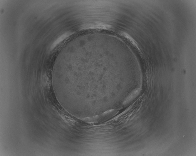 X0000074041064200608281439